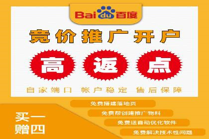 某知名品牌SEM广告投放的创意与执行