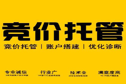 百度推广托管的成功之路：从零到一的突破